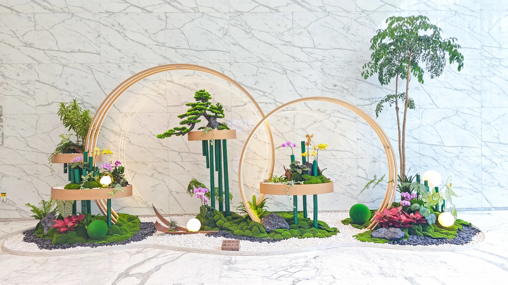 专业盆景出租，奉化团队为你精心打造绿境